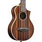 Open Box Ibanez EWP13DBO Exotic Wood Piccolo Acoustic Guitar Level 1 Dark Brown Open Pore thumbnail