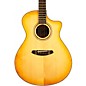 Clearance Breedlove Organic Collection Artista Concerto Cutaway CE Acoustic-Electric Guitar Natural Shadow Burst thumbnail