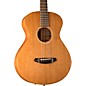 Open Box Breedlove USA Concertina E Mahogany Acoustic/Electric Guitar Level 1 Natural thumbnail