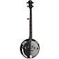 Luna Moonbird BGB 5-String Acoustic-Electric Banjo Satin Black