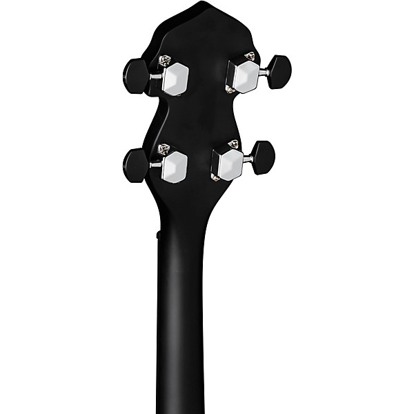 Luna Moonbird BGB 5-String Acoustic-Electric Banjo Satin Black