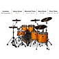 ddrum Dominion Birch 6-Piece Shell Pack With Ash Veneer Gloss Natural