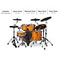 ddrum Dominion Birch 5-Piece Shell Pack With Ash Veneer Gloss Natural