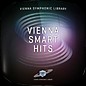 Vienna Symphonic Library Vienna Smart Hits (Download) thumbnail