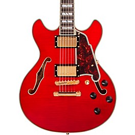 D'Angelico Excel Mini DC Semi-Hollow Electric Guit... D'Angelico Excel Mini DC Semi-Hollow Electric Guitar Transparent Cherry