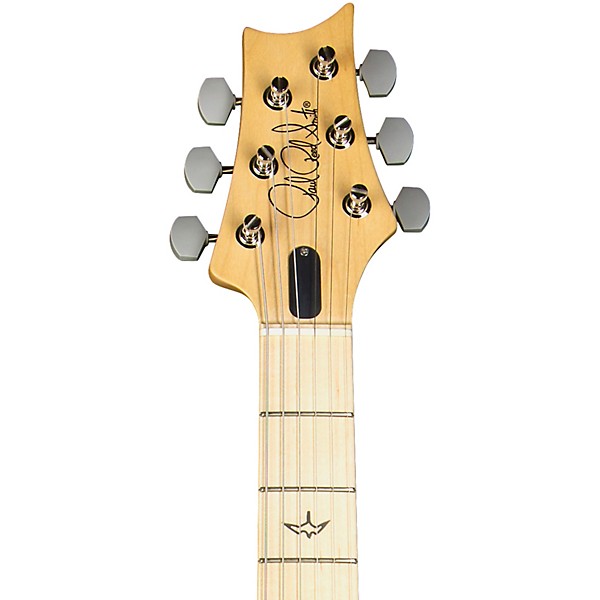 PRS Silver Sky With Maple Fretboard Electric Guitar Tungsten