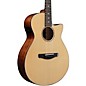 Ibanez AEG200 Solid Top Grand Concert Acoustic-Electric Guitar Low Gloss Satin thumbnail