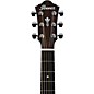 Ibanez AEG200 Solid Top Grand Concert Acoustic-Electric Guitar Low Gloss Satin