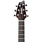 Open Box Breedlove Pursuit Exotic Concert Cutaway CE Myrtlewood Acoustic-Electric Guitar Level 2 Bourbon Burst 194744049323