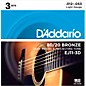 D'Addario 80/20 Acoustic Strings with 10' Instument Cable Light (12-53)