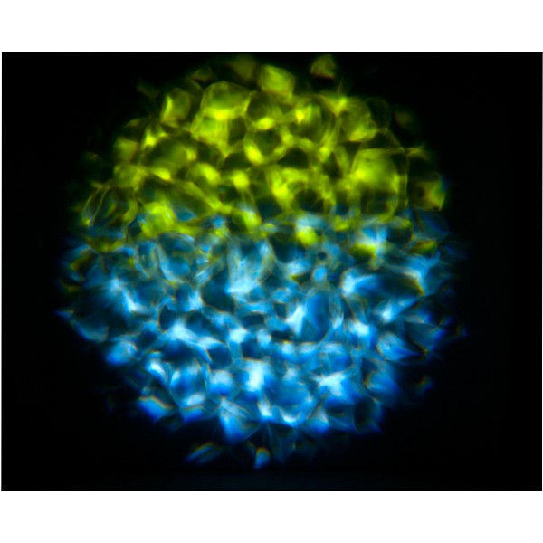 Eliminator Lighting Aqua LED 2 Water Effect Light