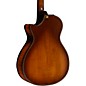 Taylor Builder's Edition 652ce V-Class 12-String Grand Concert Acoustic-Electric Guitar Wild Honey Burst