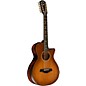 Taylor Builder's Edition 652ce V-Class 12-String Grand Concert Acoustic-Electric Guitar Wild Honey Burst