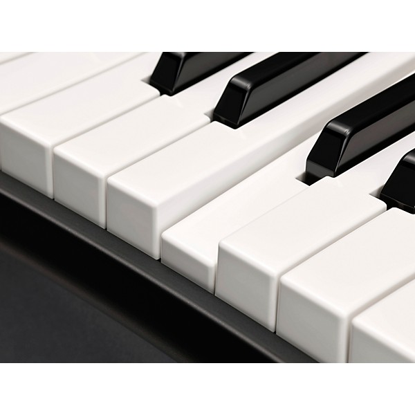 Open Box Yamaha YC61 61-Key Organ Stage Keyboard Level 2 Regular 194744046506
