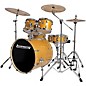 Ludwig Element Evolution 5-piece Drum Set with 22 in. Bass Drum and Zildjian "I" Series Cymbals Gold Sparkle