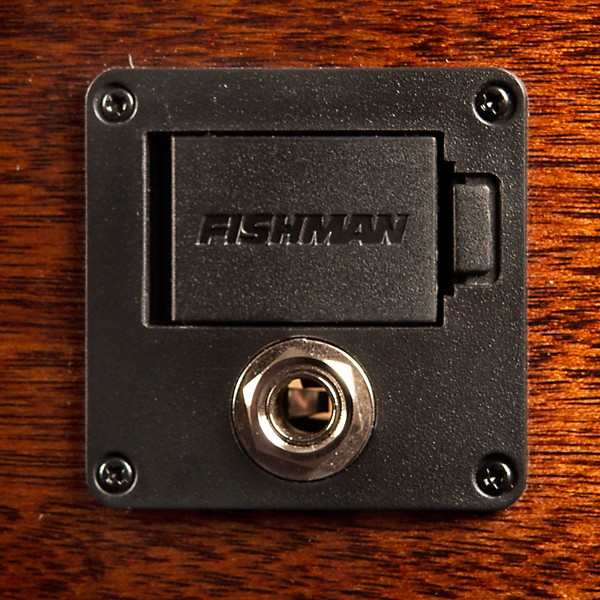 Breedlove Discovery Concertina Cutaway CE AcousticElectric Guitar