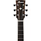 Ibanez ACFS580CE Artwood Fingerstyle All-Solid Grand Concert Acoustic-Electric Guitar Open Pore Semi-Gloss