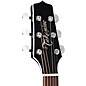Takamine EF341DX Acoustic-Electric Guitar Black