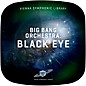 Vienna Symphonic Library Big Bang Orchestra: Black Eye (Download) thumbnail