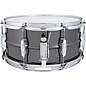 Ludwig Black Beauty 8-Lug Brass Snare Drum 14 x 6.5 in.