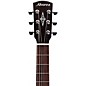 Alvarez AGA95CEAR Artist Elite Grand Auditorium Acoustic-Electric Guitar Natural Shadow Burst