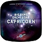 Vienna Symphonic Library Big Bang Orchestra: Capricorn (Download) thumbnail