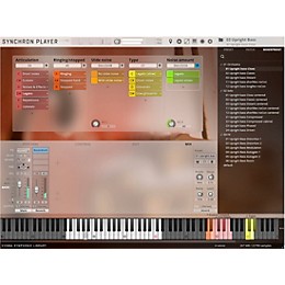 Vienna Symphonic Library SYNCHRON-ized Plucked Instruments (Crossgrade from VI Plucked Instruments Bundle Full Library) Download
