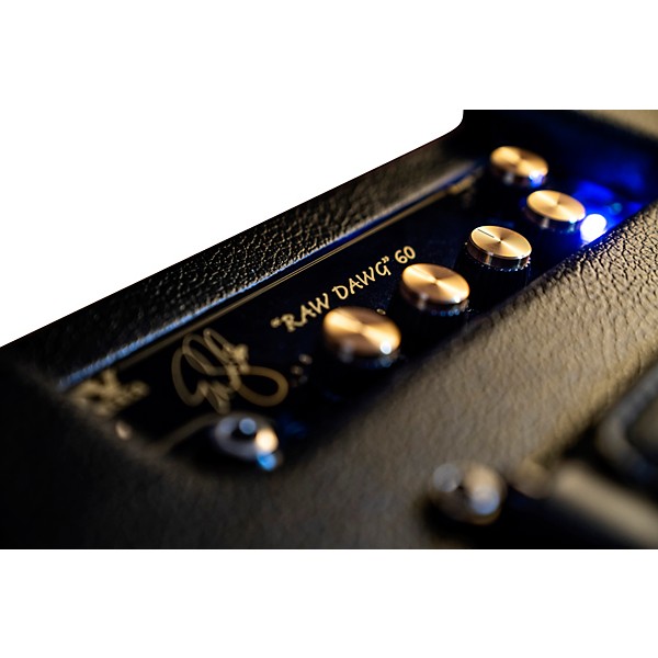 DV Mark EGC Raw Dawg 60 Eric Gales Signature 60W 1x12 Guitar Combo Amp Black and Gold