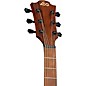 Lag Guitars Tramontane T118ASCE-BLK Auditorium Slim Cutaway Acoustic-Electric Guitar Black