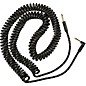 Fender Deluxe Series Straight to Angled Coiled Cable 30 ft. Black Tweed thumbnail