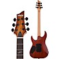 Schecter Guitar Research C-1 Exotic Spalted Maple 6-String Electric Guitar Natural Vintage Burst