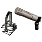 Electro-Voice RE20 Dynamic Cardioid Microphone With 309-A Shock Mount thumbnail