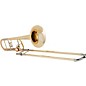 EDWARDS T-350-HB Custom Series F-Attachment Trombone Outfit with Harmonic Bridge Lacquer Yellow Brass Bell thumbnail