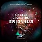 Vienna Symphonic Library BBO: Eridanus - Percussion Riffs (Download) thumbnail