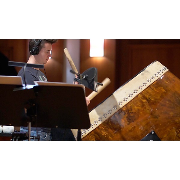 Vienna Symphonic Library BBO: Eridanus - Percussion Riffs (Download)