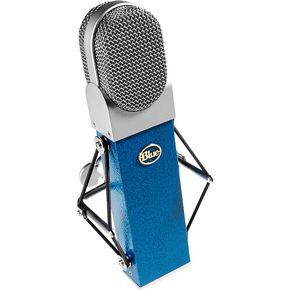 Warm Audio BLUE Blueberry Cardioid Condenser Microphone with Warm Audio WA12 MkII Microphone Preamp