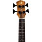 Luna Bari-Bass Koa Acoustic-Electric Ukulele Satin Natural