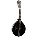 弦楽器 Recording King Mandolin Recording King Mandolin RAM-3-TS – Moze Guitars