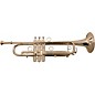 BAC Music Plaza Series Professional Trumpet Silver plated thumbnail
