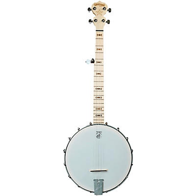 Deering Goodtime Jr. Openback Banjo Silver for sale