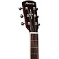 Alvarez MF60OM Masterworks Series Folk Acoustic Guitar Gloss Natural