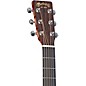 Martin Special X Series Rosewood Dreadnought Acoustic-Electric Guitar Rosewood