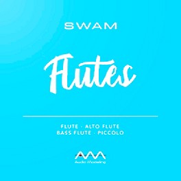 Audio Modeling SWAM Flutes (Download)