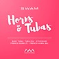 Audio Modeling SWAM Solo Horns and Tubas (Download) thumbnail
