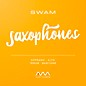 Audio Modeling SWAM Saxophones (Download) thumbnail
