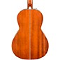 Fender Paramount Series PM-2 Parlor Acoustic Guitar Natural