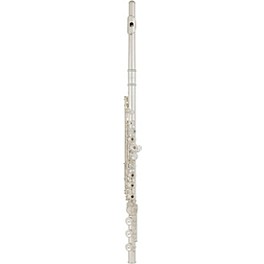 Allora Vienna Series Intermediate Flute Offset G B-Foot