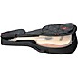 Road Runner RR4TPAG Boulevard II Parlor Acoustic Guitar Gig Bag