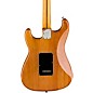 Open Box Fender American Professional II Roasted Pine Stratocaster Rosewood Fingerboard Electric Guitar Level 2 Natural 19...