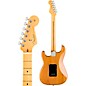 Fender American Professional II Roasted Pine Stratocaster HSS Electric Guitar Natural
